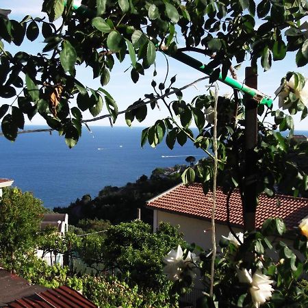 Le Mimose Villa Vietri Kültér fotó