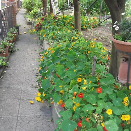 Le Mimose Villa Vietri Kültér fotó