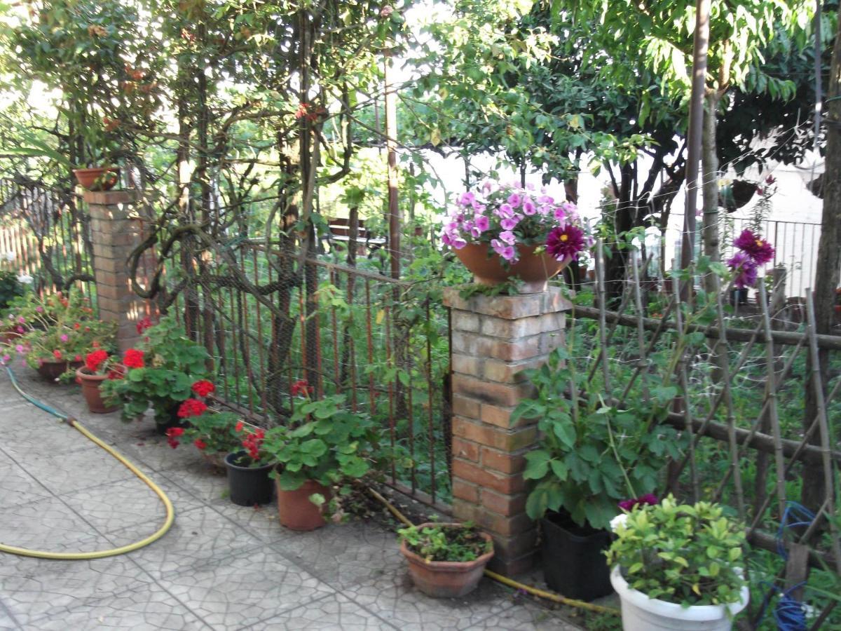 Le Mimose Villa Vietri Kültér fotó