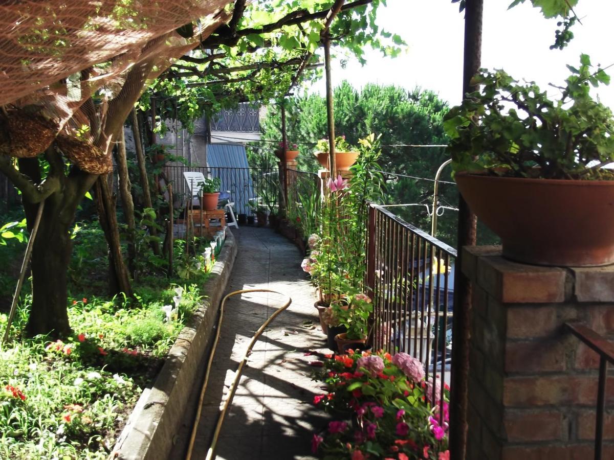 Le Mimose Villa Vietri Kültér fotó