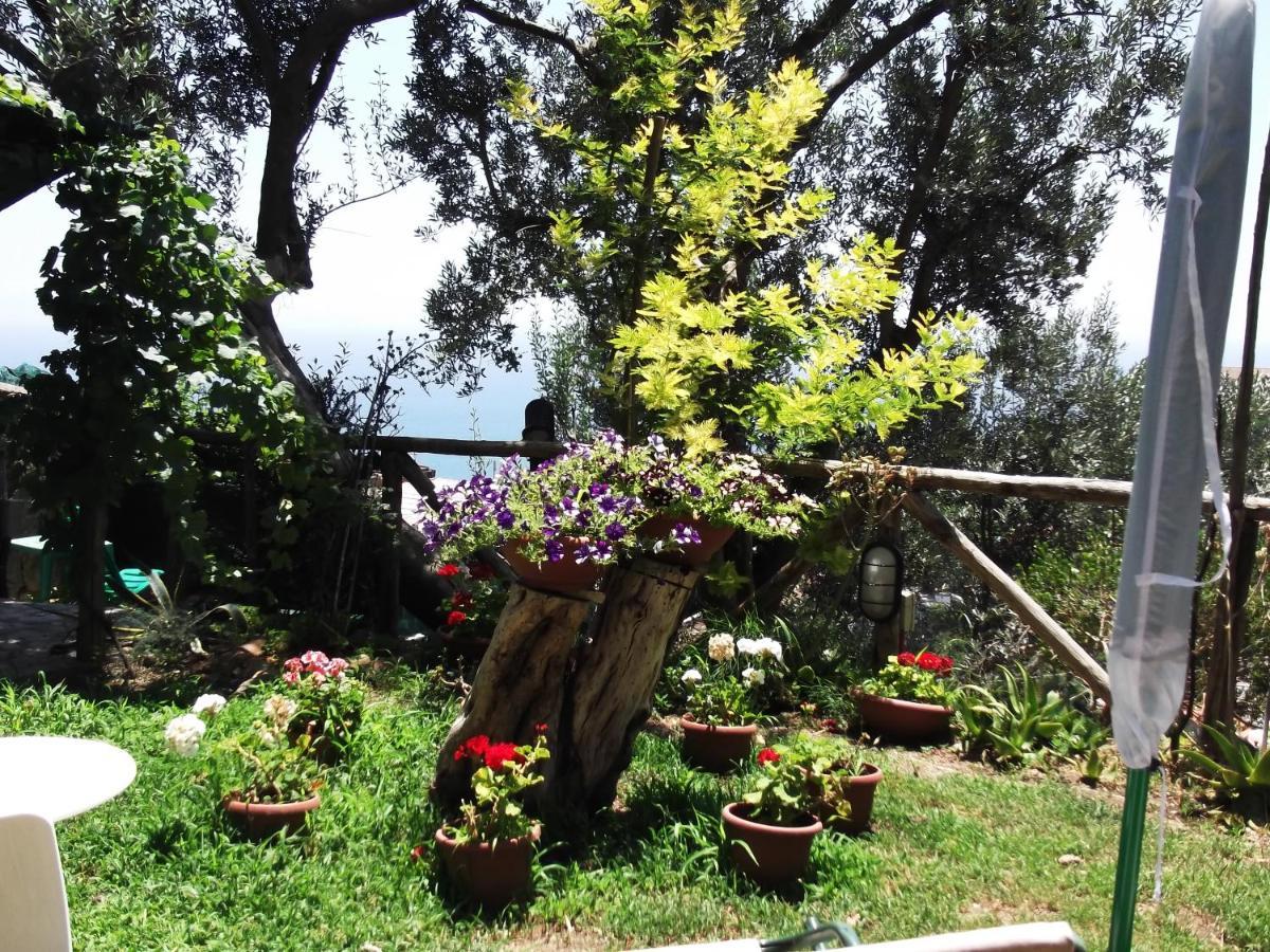 Le Mimose Villa Vietri Kültér fotó