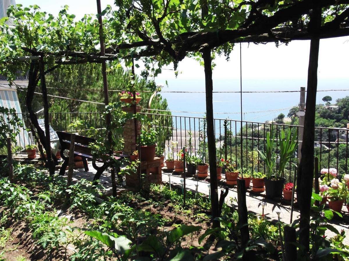 Le Mimose Villa Vietri Kültér fotó