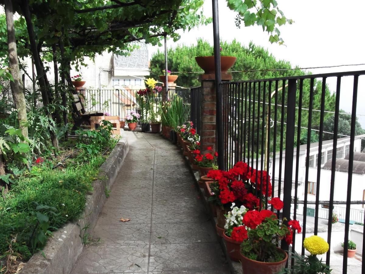 Le Mimose Villa Vietri Kültér fotó