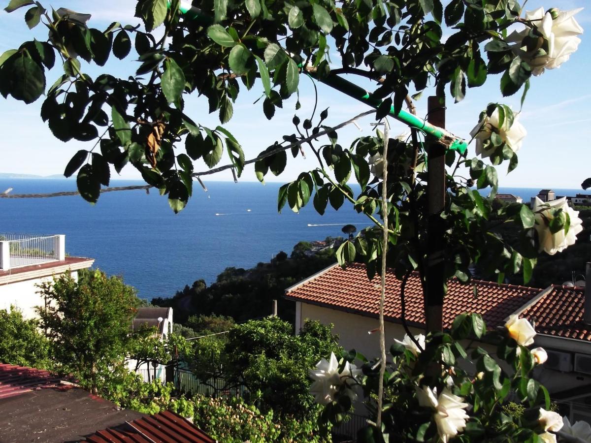 Le Mimose Villa Vietri Kültér fotó