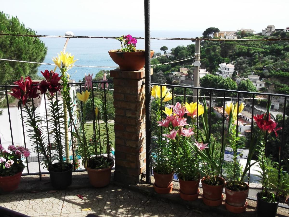 Le Mimose Villa Vietri Kültér fotó