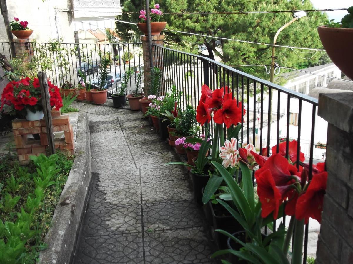 Le Mimose Villa Vietri Kültér fotó