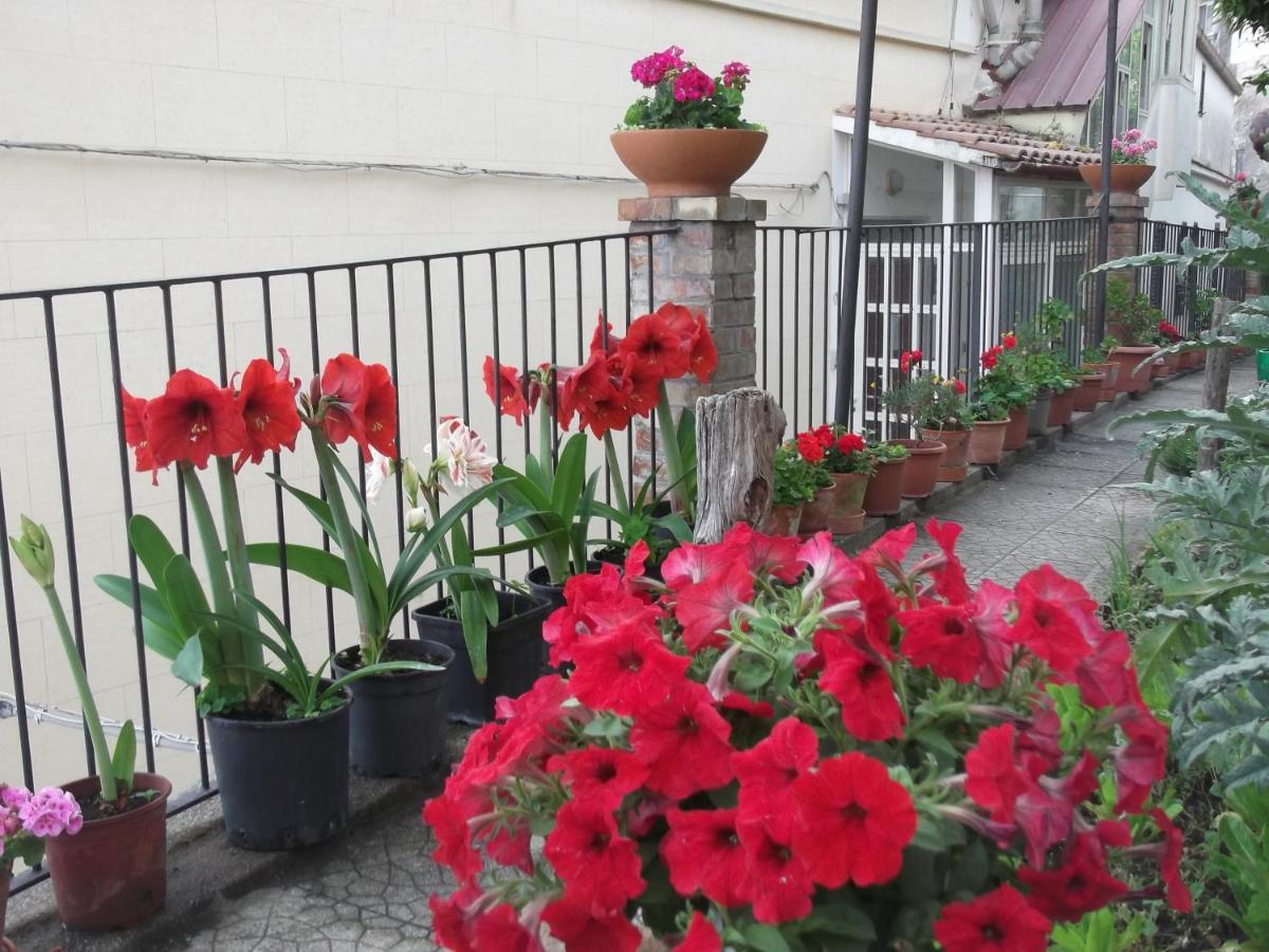 Le Mimose Villa Vietri Kültér fotó