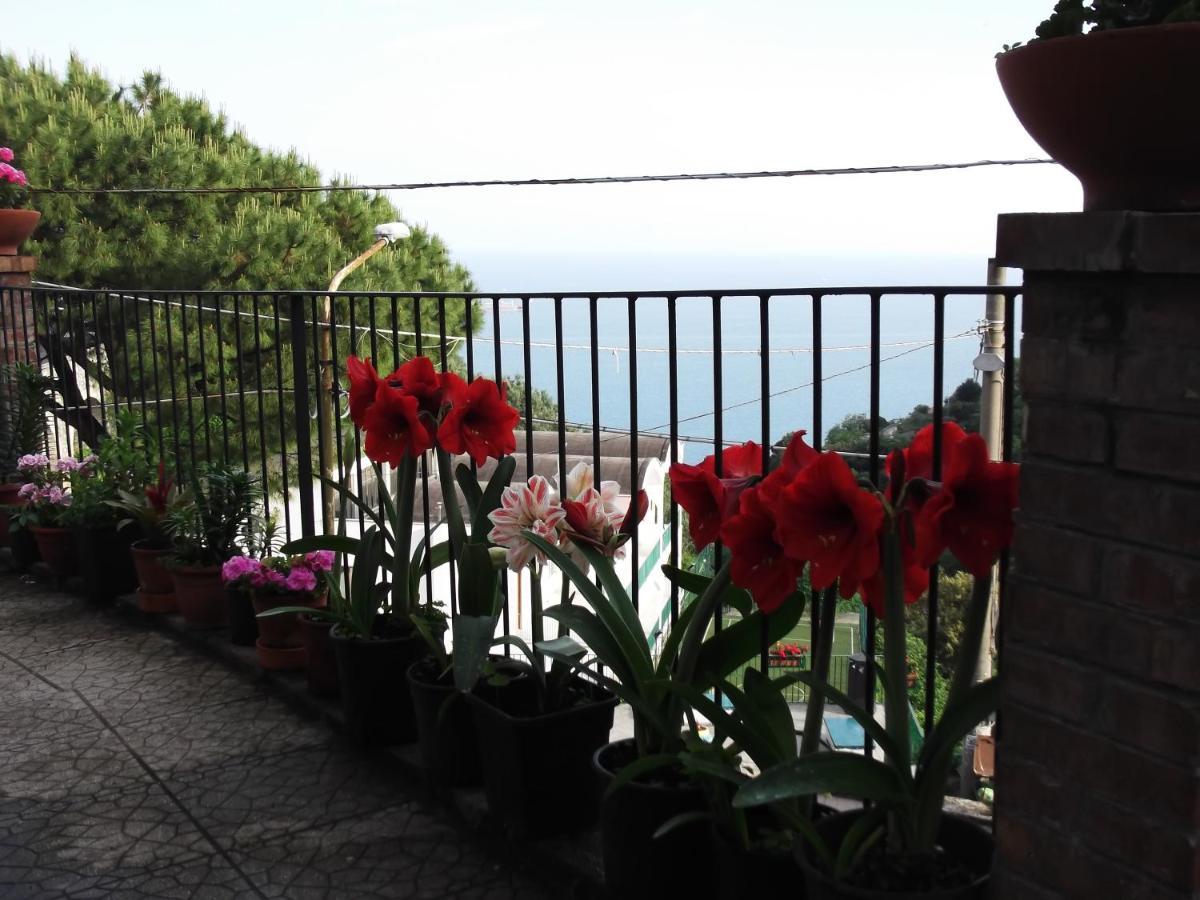 Le Mimose Villa Vietri Kültér fotó