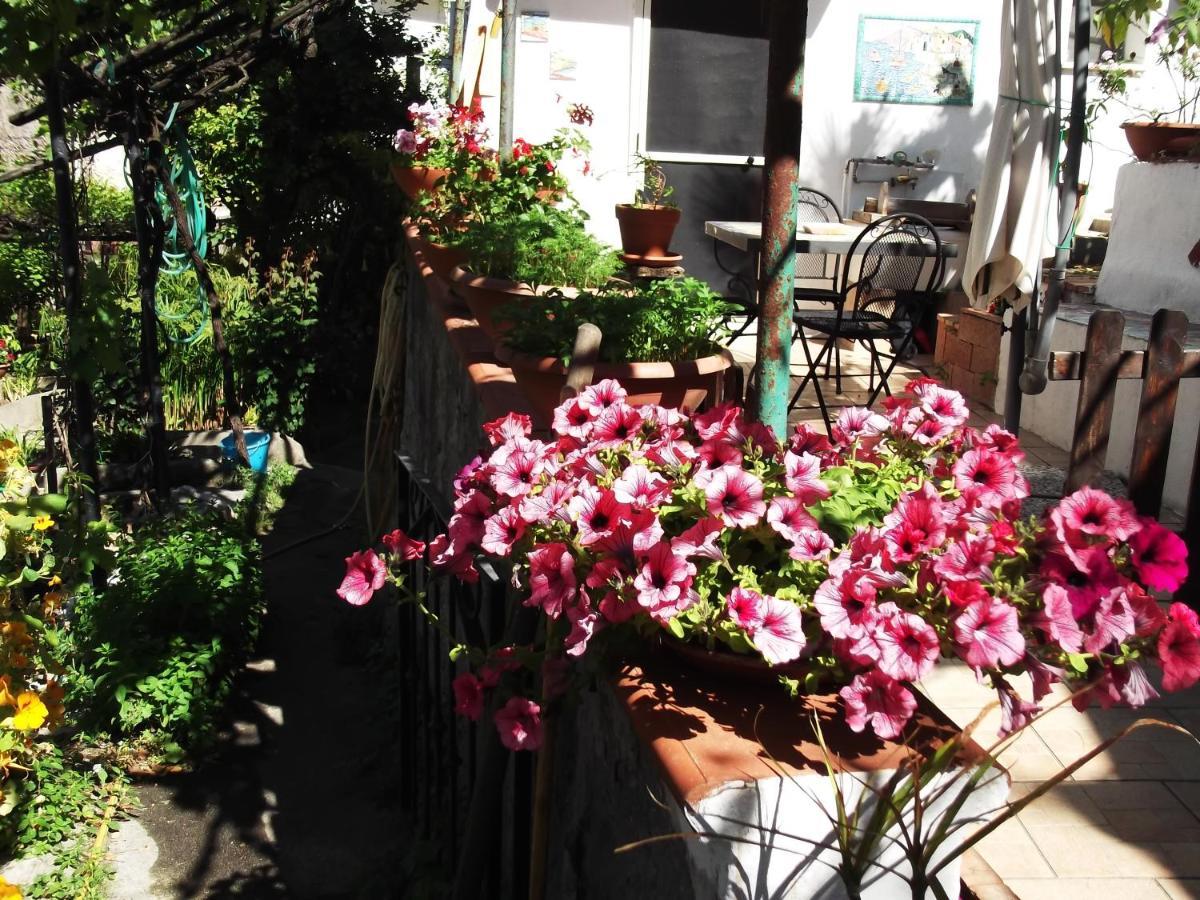 Le Mimose Villa Vietri Kültér fotó