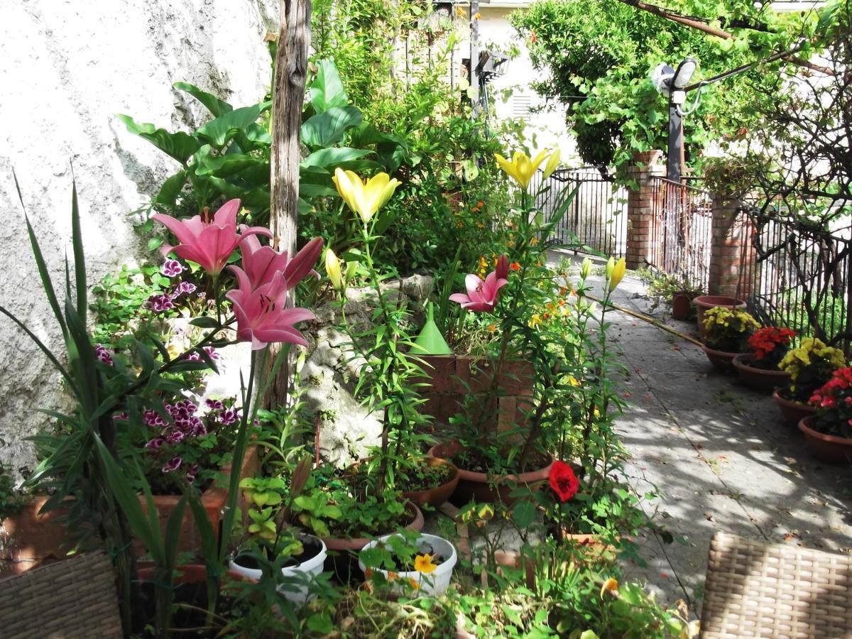 Le Mimose Villa Vietri Kültér fotó