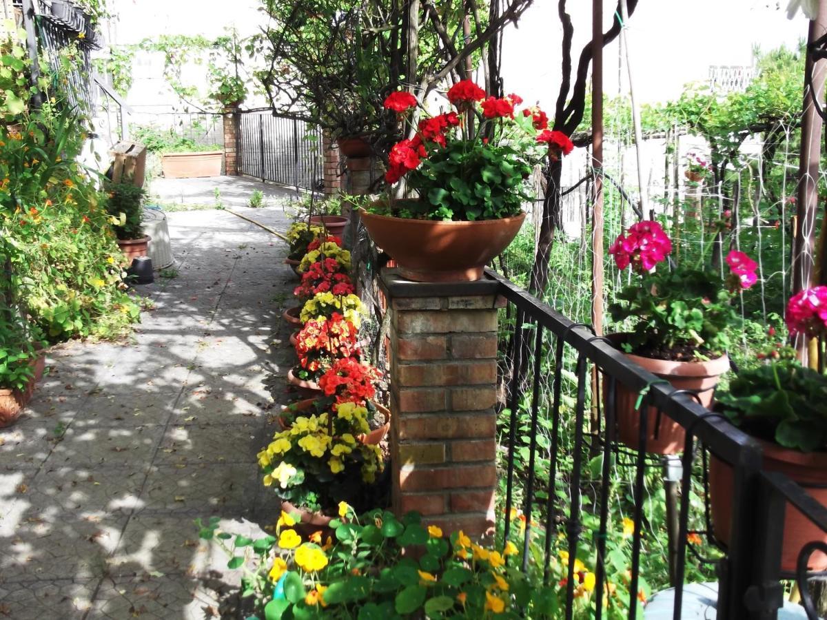 Le Mimose Villa Vietri Kültér fotó