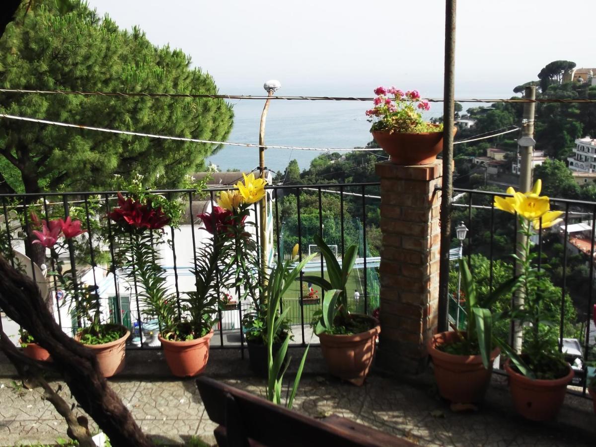 Le Mimose Villa Vietri Kültér fotó