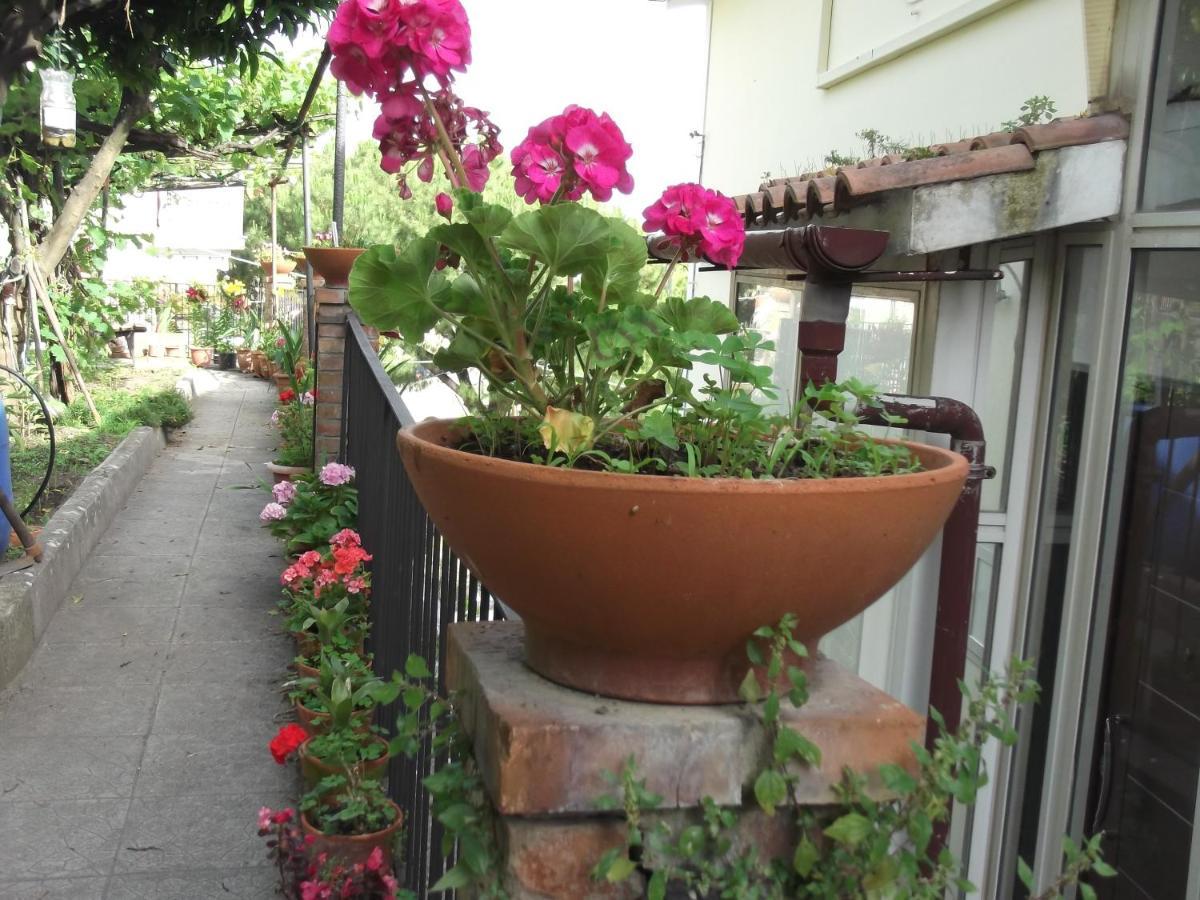 Le Mimose Villa Vietri Kültér fotó