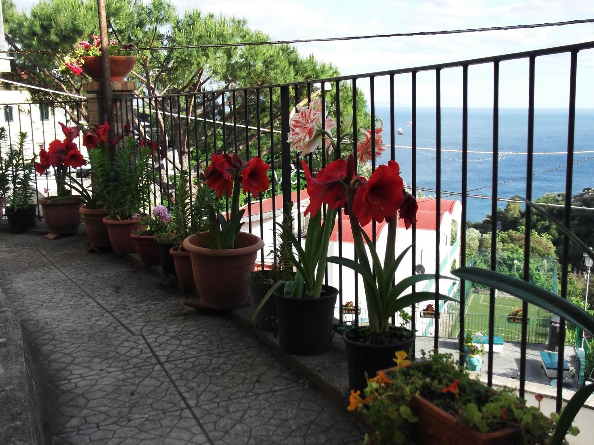 Le Mimose Villa Vietri Kültér fotó