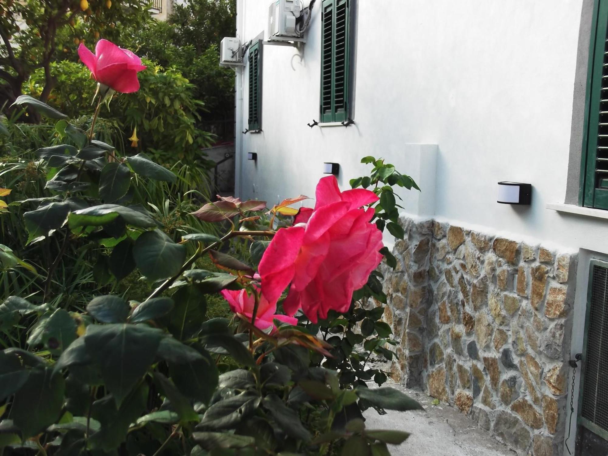 Le Mimose Villa Vietri Kültér fotó