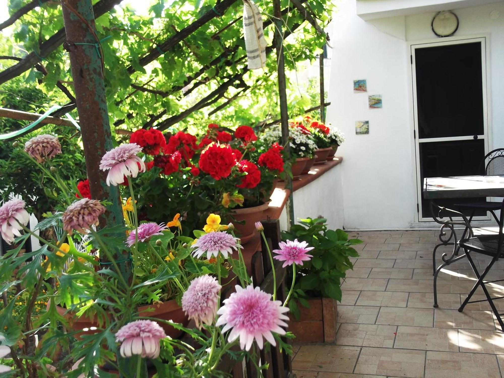 Le Mimose Villa Vietri Kültér fotó