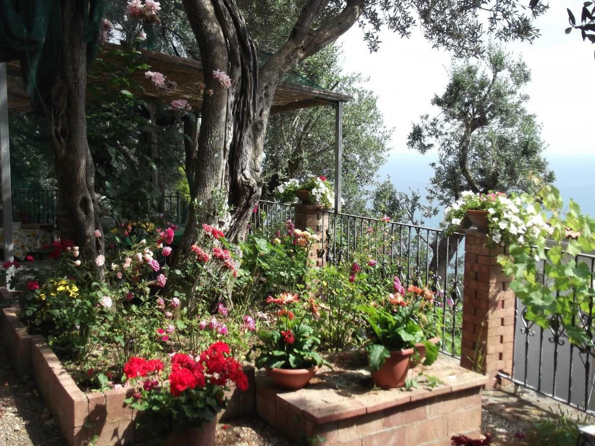 Le Mimose Villa Vietri Kültér fotó
