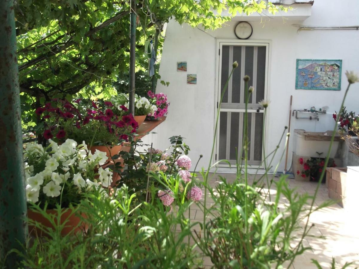 Le Mimose Villa Vietri Kültér fotó