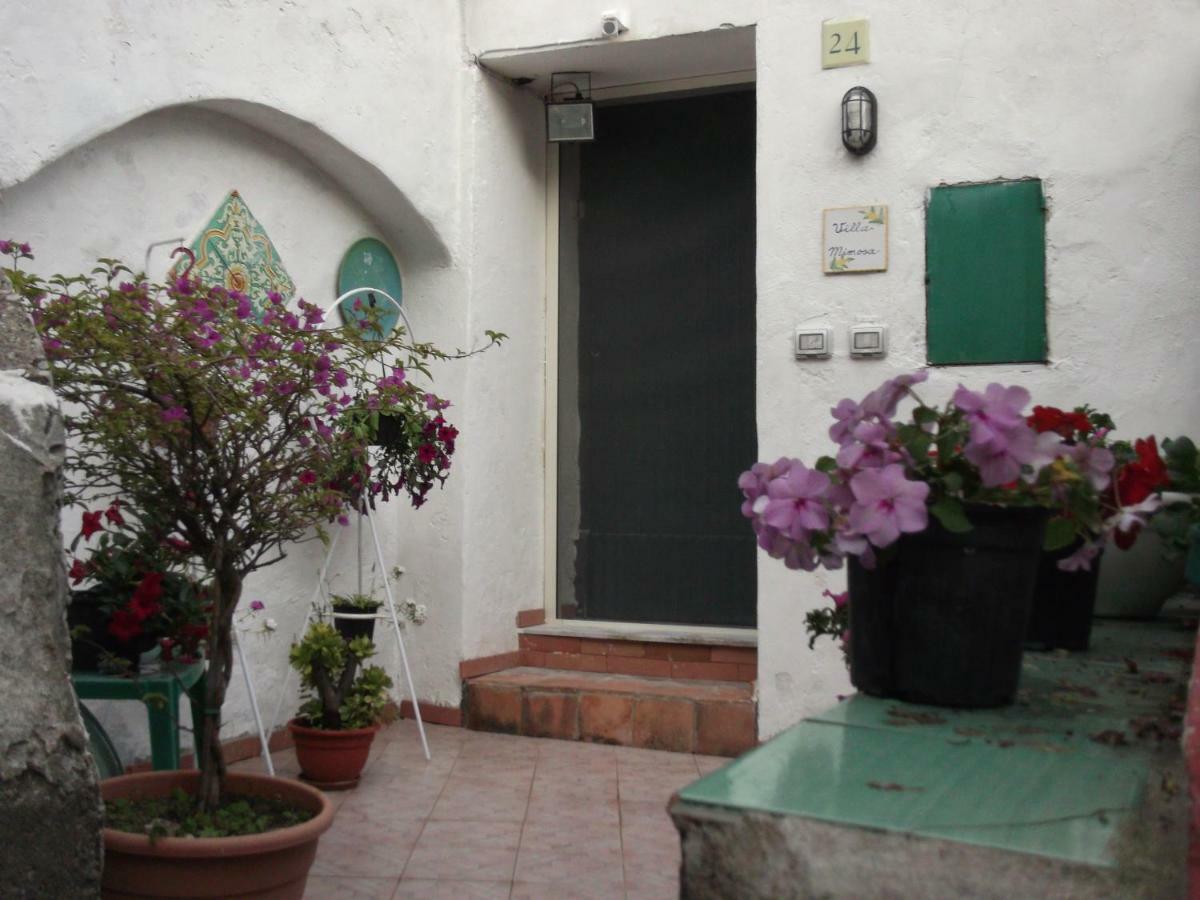 Le Mimose Villa Vietri Kültér fotó