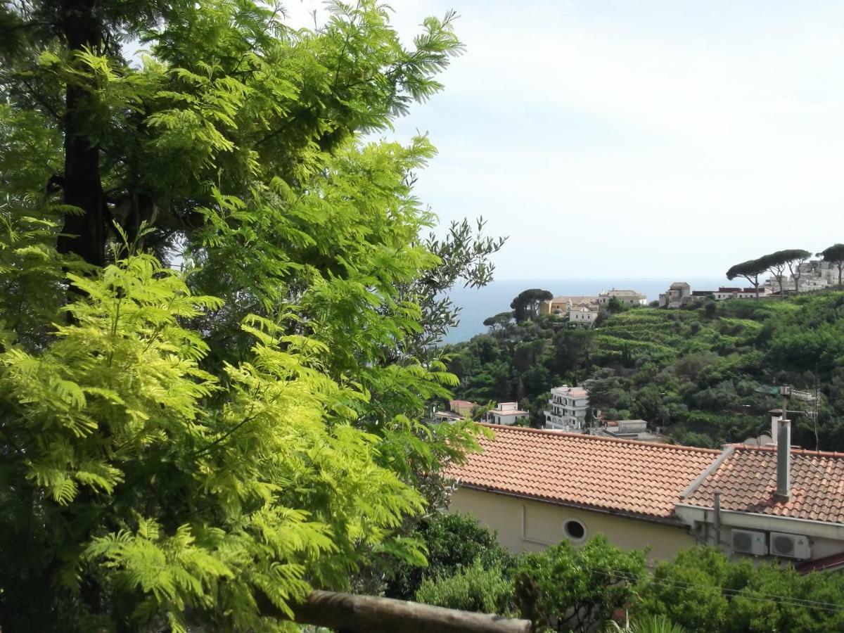 Le Mimose Villa Vietri Kültér fotó