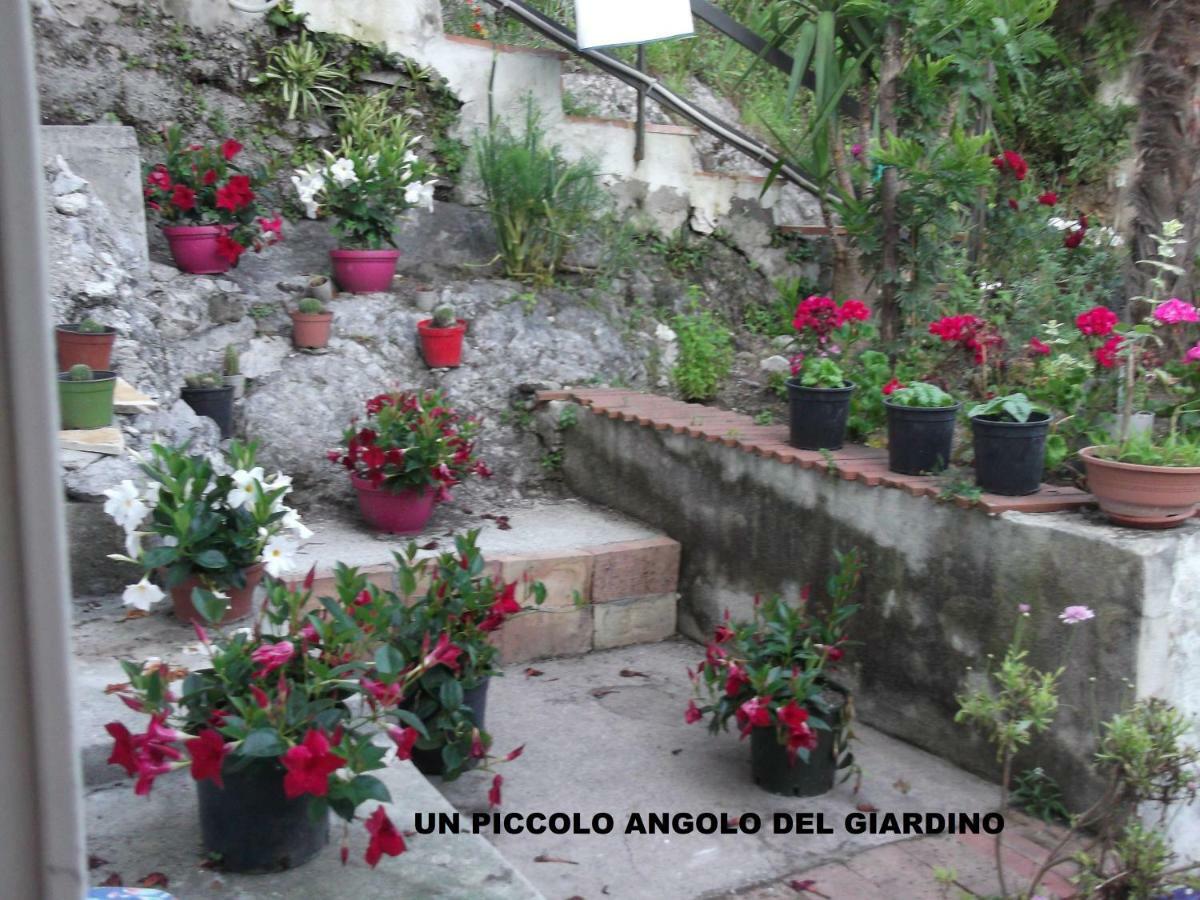Le Mimose Villa Vietri Kültér fotó