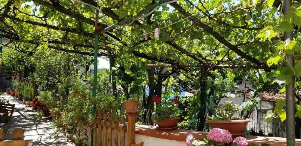 Le Mimose Villa Vietri Kültér fotó